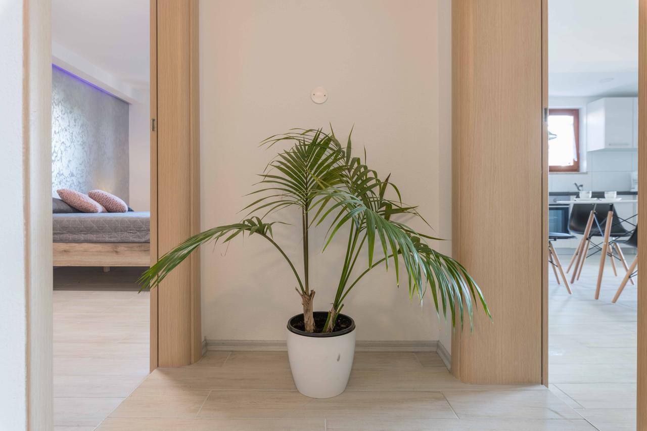 Apartments Villa Tre Marie 罗维尼 外观 照片